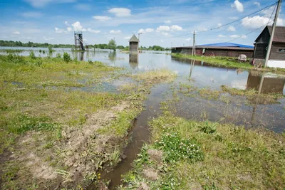 Фото пляжа Водный мир Барнаул: волшебные моменты