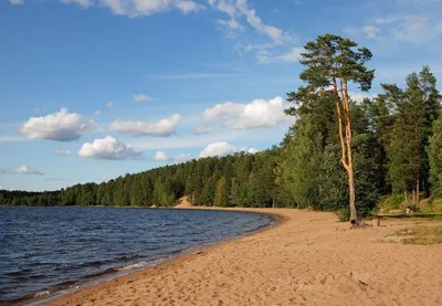 Изображения пляжа водного мира Барнаула