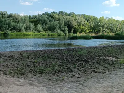 Картинки пляжа Волна в Оренбурге: 4K фотографии для скачивания