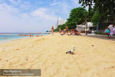 Пляж Вонгамат: качественные фотографии для загрузки