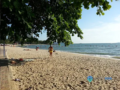 Фотоальбом пляжа Вонгамат: релаксация и умиротворение
