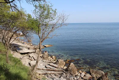 Пляж Зеленый Мыс Алупка: красота морского побережья в фотографиях