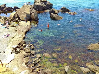 Очарование Пляжа Зеленый Мыс Алупка на фотографиях