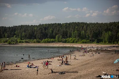 Пляж звезда новосибирск: фотографии, которые переносят вас на море