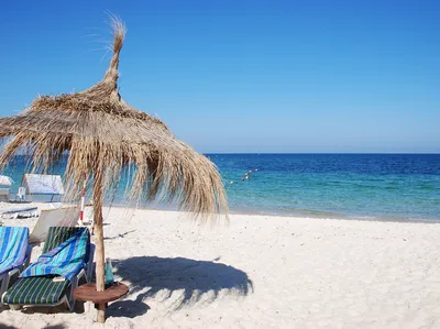 Пляжей туниса  фото