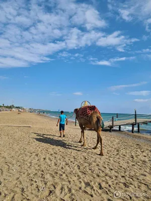 Фото пляжей Белека в формате png
