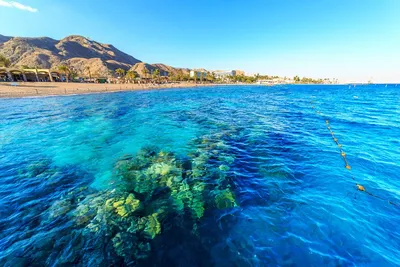 Пляжи Эйлата: фотографии, которые заставят вас полюбить море еще больше