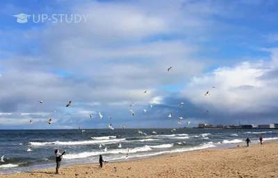 Изображения пляжей Гданьска для свободного скачивания
