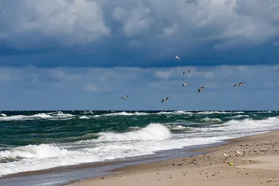 Фотографии пляжей Гданьска: насладитесь морским бризом