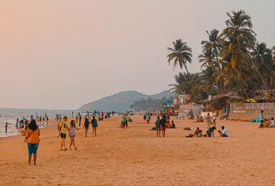Новые фотографии пляжей Индии в формате WebP