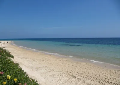 Фото пляжей Хаммамета с высоким разрешением