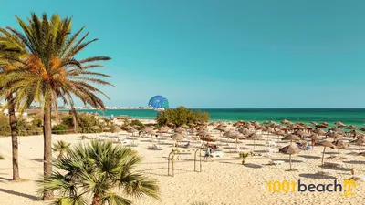 Изображения пляжей Хаммамета для использования в проектах