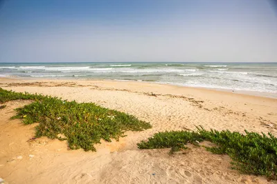 Фотографии пляжей Хаммамета в формате PNG