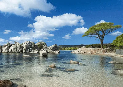 Фото пляжей Корсики: обновленные изображения для вашего просмотра