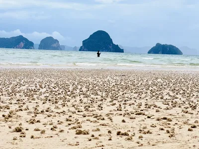 Фото Пляжей Краби: Полезная информация о красивых пляжах