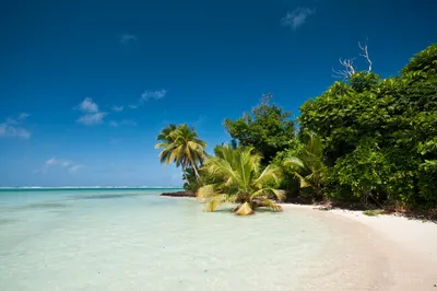 Картинки пляжей Мадагаскара в Full HD