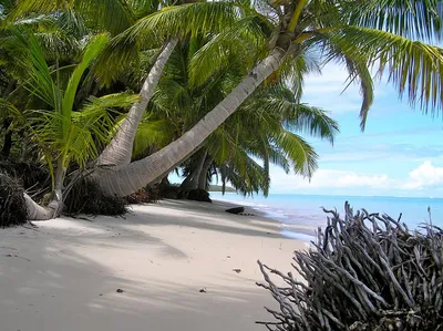 Фотоальбом пляжей Мадагаскара: волшебство тропического рая