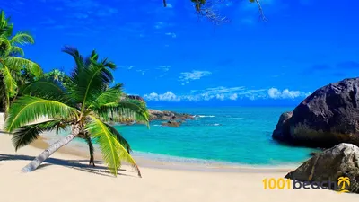 Фото пляжей Мадагаскара в формате 4K