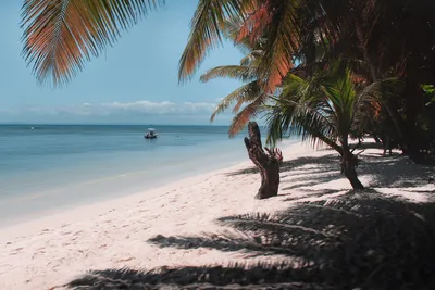 Фотографии пляжей Мадагаскара: встреча с природой в ее лучшем виде