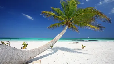 Фото пляжей Мексики: выберите размер изображения