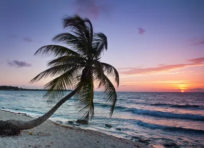 Фото пляжей Мексики: выберите размер изображения и формат (JPG, PNG, WebP)