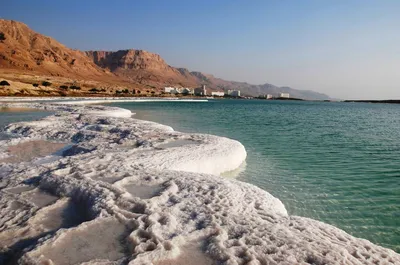 Фотографии причудливых солевых образований на пляжах Мертвого моря