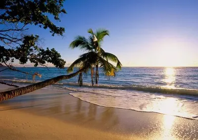 Пляжи на Гоа: красивые виды на фото