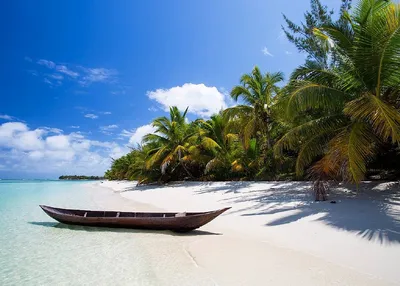 Фотографии пляжей Гоа: идеальное место для отдыха