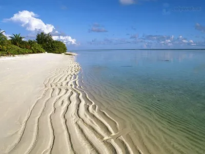 Пляжи Гоа на фото: место, где время останавливается