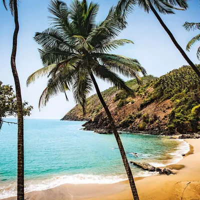 Картинки пляжей на Гоа: скачать бесплатно в хорошем качестве