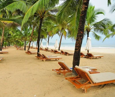 Пляжи Гоа на фото: место, где можно забыть о реальности