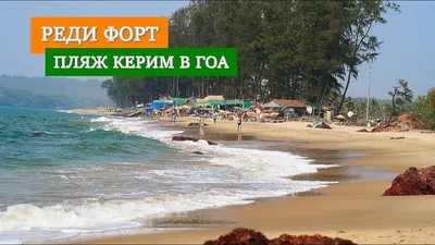 Бесплатные фото пляжей на Гоа