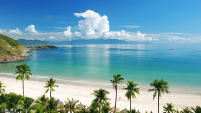 Фотографии пляжей на Гоа в формате WebP