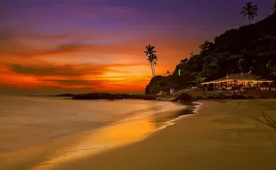 Фото пляжей на Гоа с пальмами