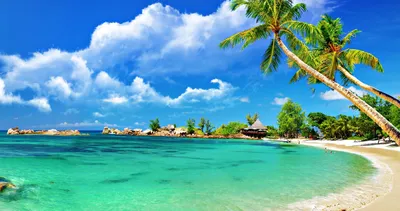 Пляжи на Гоа: фото, чтобы почувствовать атмосферу