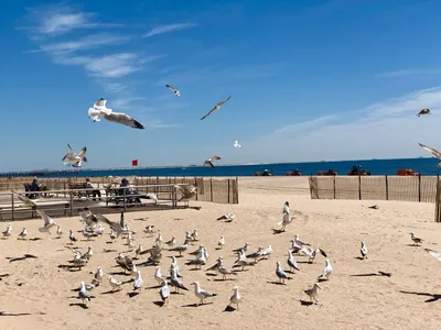 Фотографии пляжей Нью-Йорка, которые покажут вам другую сторону города