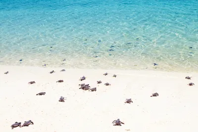 Фото пляжей Пафоса: великолепные виды