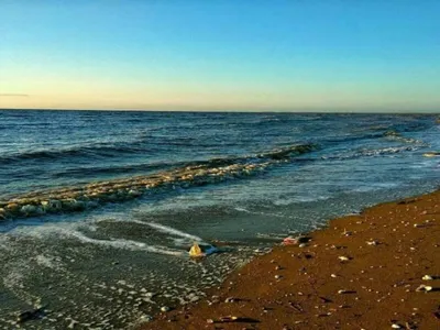 Фото прекрасных пляжей Приморско-Ахтарска