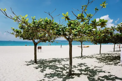 19) Фото пляжей Саньи с чистой водой