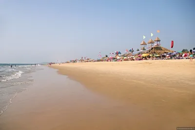 Новые фотографии пляжей северного Гоа для скачивания