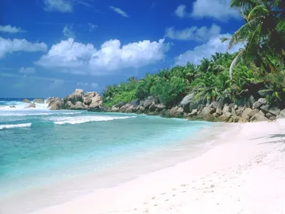 Красивые фото пляжей северного Гоа