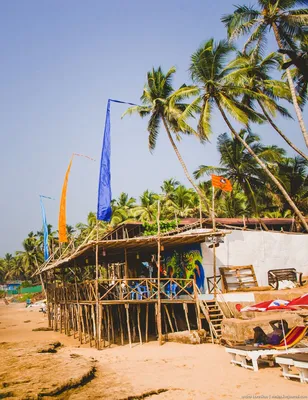 Фотографии пляжей северного Гоа: идеальное место для семейного отдыха