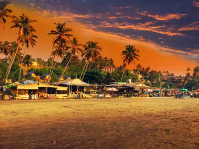 Фотографии пляжей северного Гоа на 2024 год