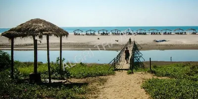 Картинки пляжей северного Гоа в формате 4K