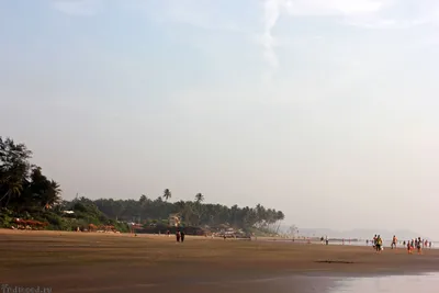 Фото пляжей северного Гоа в формате PNG