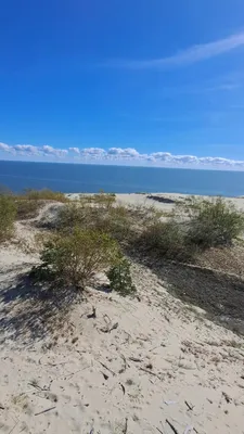 Фотографии пляжей Светлогорска, чтобы насладиться прекрасными видами моря