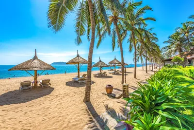 Пляжи Нячанга: фотографии идеального отдыха