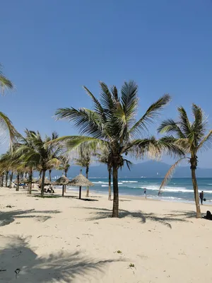 Пляжи Нячанга: фотографии идеального отдыха на берегу моря