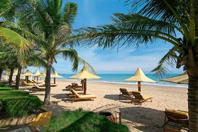 Фото пляжей Вьетнама с кристально чистой водой