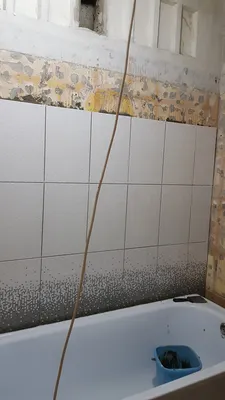 Фотографии современных ванных комнат с креативным использованием плитки